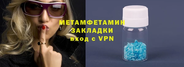 трава Коряжма